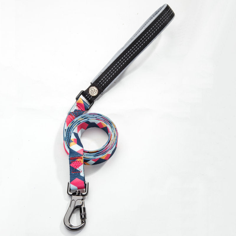 Pet leash collar