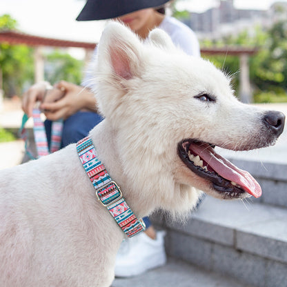 Custom Lettering Dog Collar Print Personality Suit