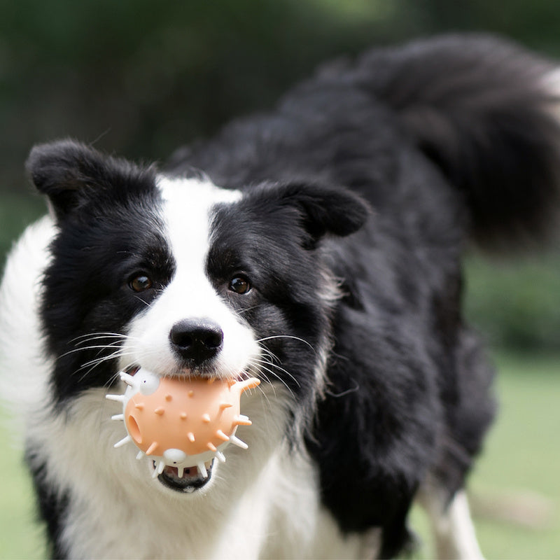 Dog bite-resistant vocal toy