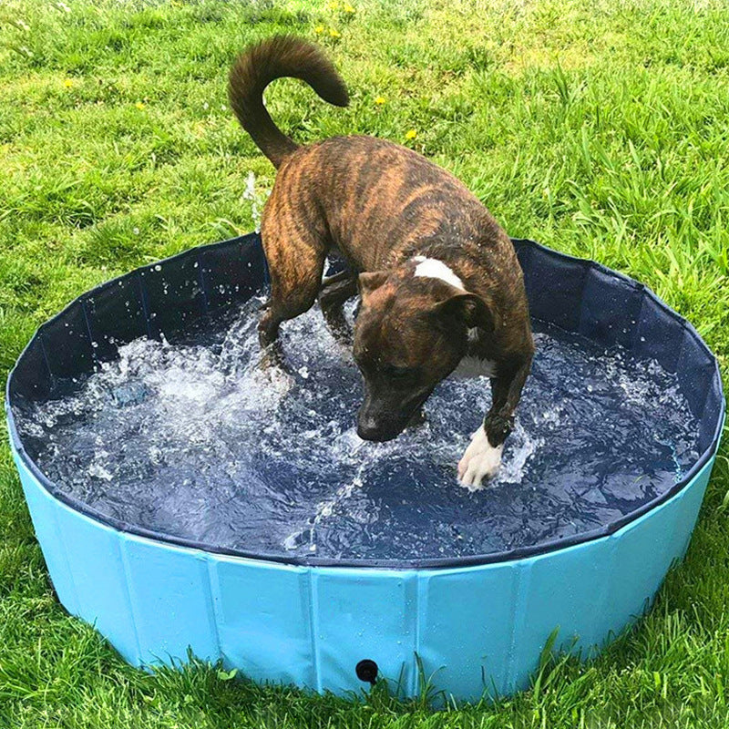 Foldable Dog Pool Pet Bath Swimming Tub Bathtub Outdoor