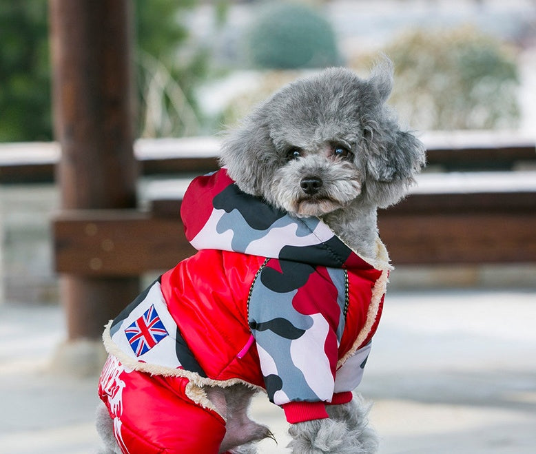 Dog winter warm coat clothes