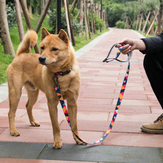 Pet supplies dog leash