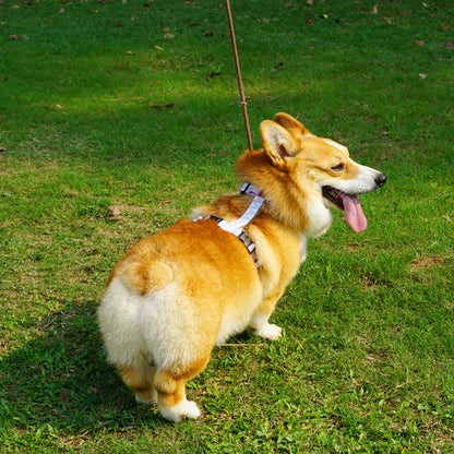 Dog Hand Holding Rope Vest Pet Harness Reflective Stripe