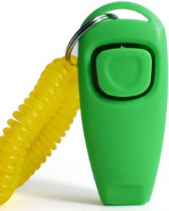 Multifunctional Pet Rattle Whistle Dog Training Device