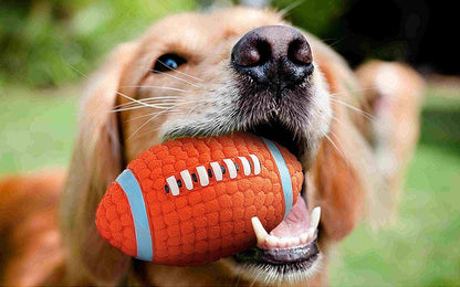 Dog Toy Bite-Resistant Teeth Cleaning Latex Toy Ball