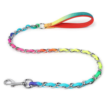 Ulysses Medium Small Dog Rainbow Dog Chain Dog Leash