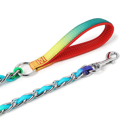 Ulysses Medium Small Dog Rainbow Dog Chain Dog Leash