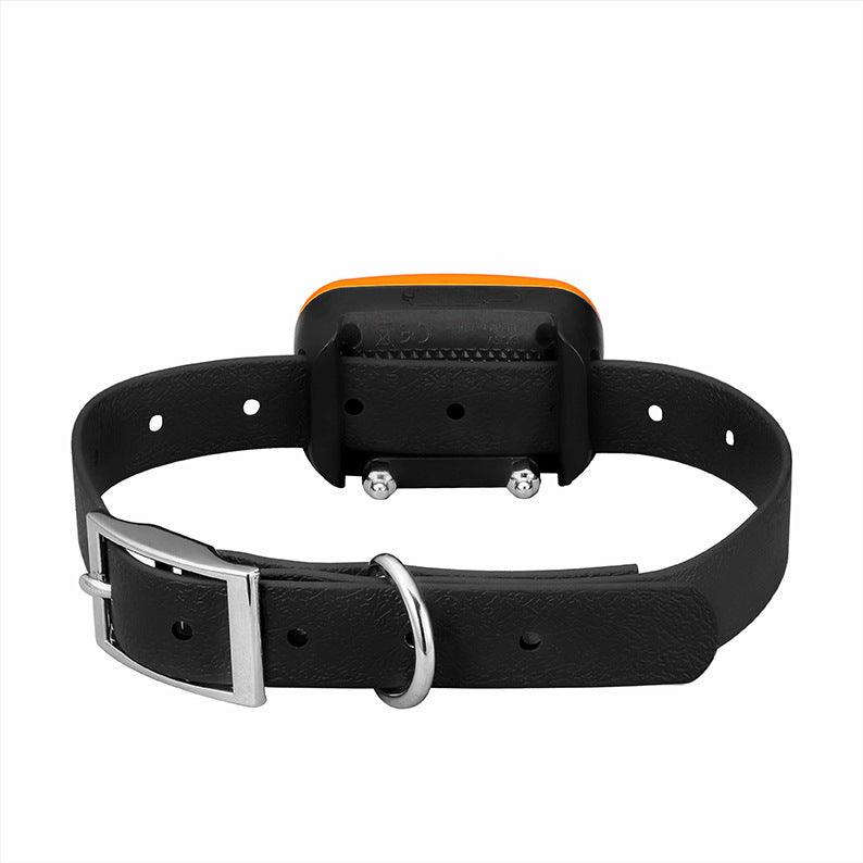 Dog Training Device LED Digital Display Training Supplies