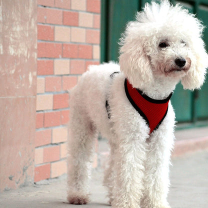 Small Dog Chain Teddy Vest-Style Dog Walking Collar