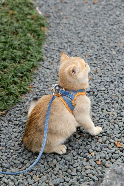 Cat Traction Rope Vest-Style Reflective Chest Harness