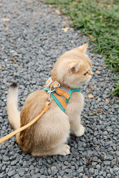 Cat Traction Rope Vest-Style Reflective Chest Harness