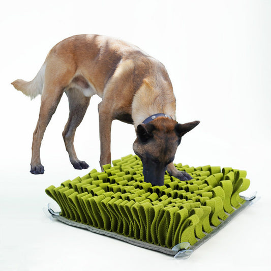 Pet Bite-Resistant Slow Food Toy Training