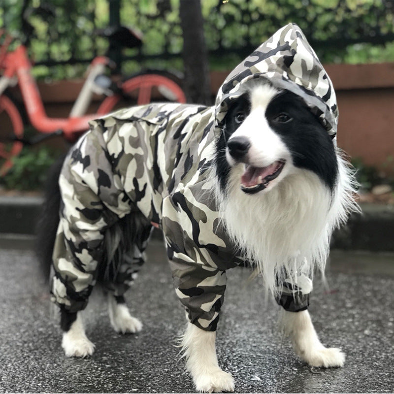 Dog Raincoat Edge Shepherd Four-Legged Big Dog