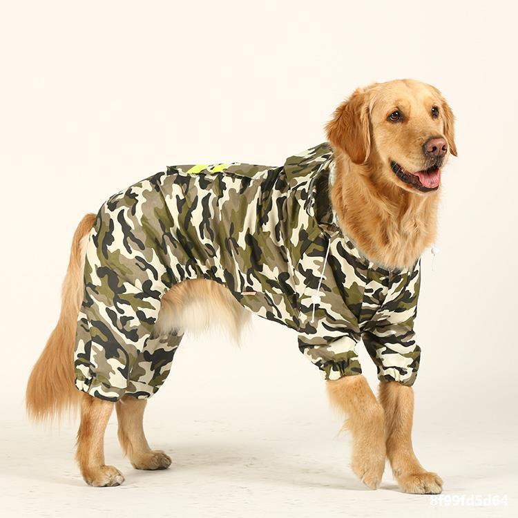 Dog Raincoat Edge Shepherd Four-Legged Big Dog