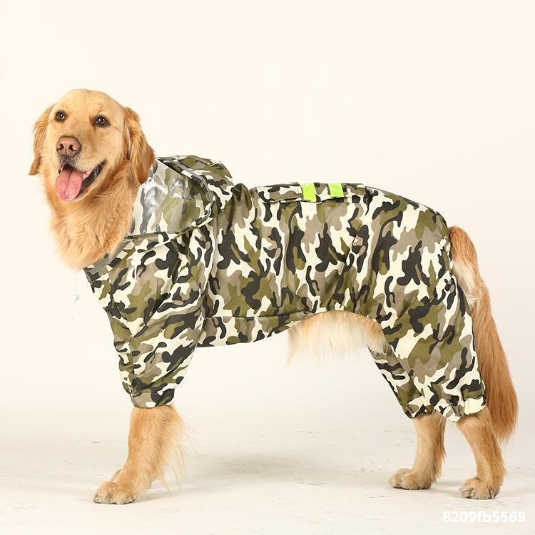 Dog Raincoat Edge Shepherd Four-Legged Big Dog