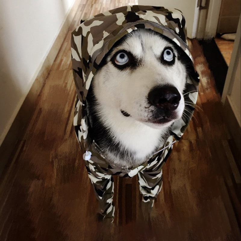 Dog Raincoat Edge Shepherd Four-Legged Big Dog