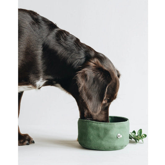 Folding Dog Bowl Canvas Dog Tableware Drinking Water Bowl