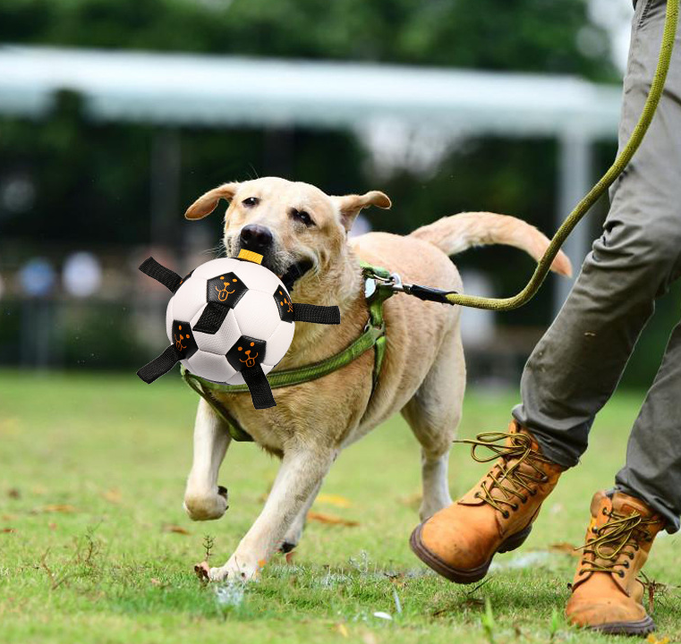 Pet Ball Toy Outdoor Ball Football Dog Training Ball Multifunctional Rope