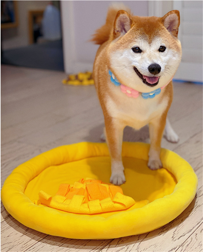 Pet Sniffing Pad Dog Toy Consumes Energy And Decompression