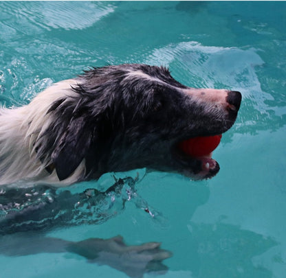 Pet Dog Bouncy Ball, Bite-resistant Solid Ball, Rubber Bite