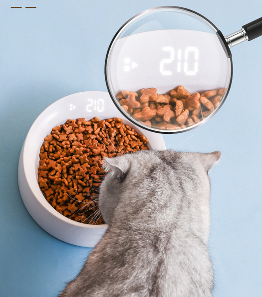 Pet Bowl Feeder Cat Bowl Pet Smart Weighing Bowl Snack Feeder