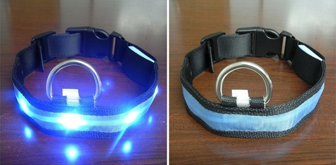 LED Light With Flashing Dog Collar