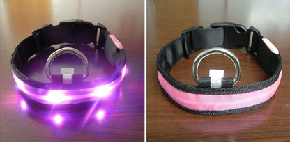 LED Light With Flashing Dog Collar