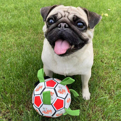 Dog Football Bite-resistant Molar Bite-resistant Toy