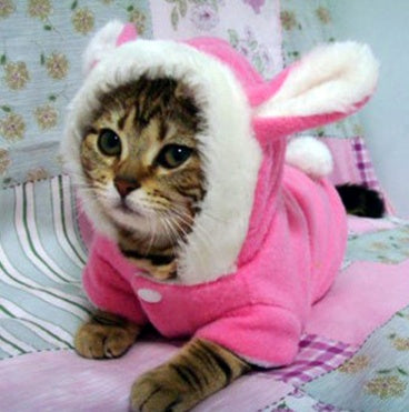 Pet Cat Clothes Mascotas Costume Clothes For Pet Hoodies