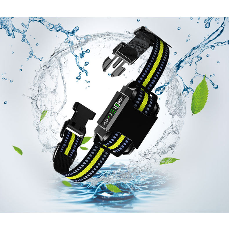 Intelligent Anti Misjudgment Automatic Dog Trainer