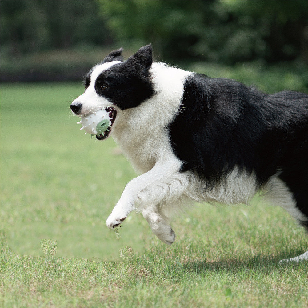 Dog bite-resistant vocal toy