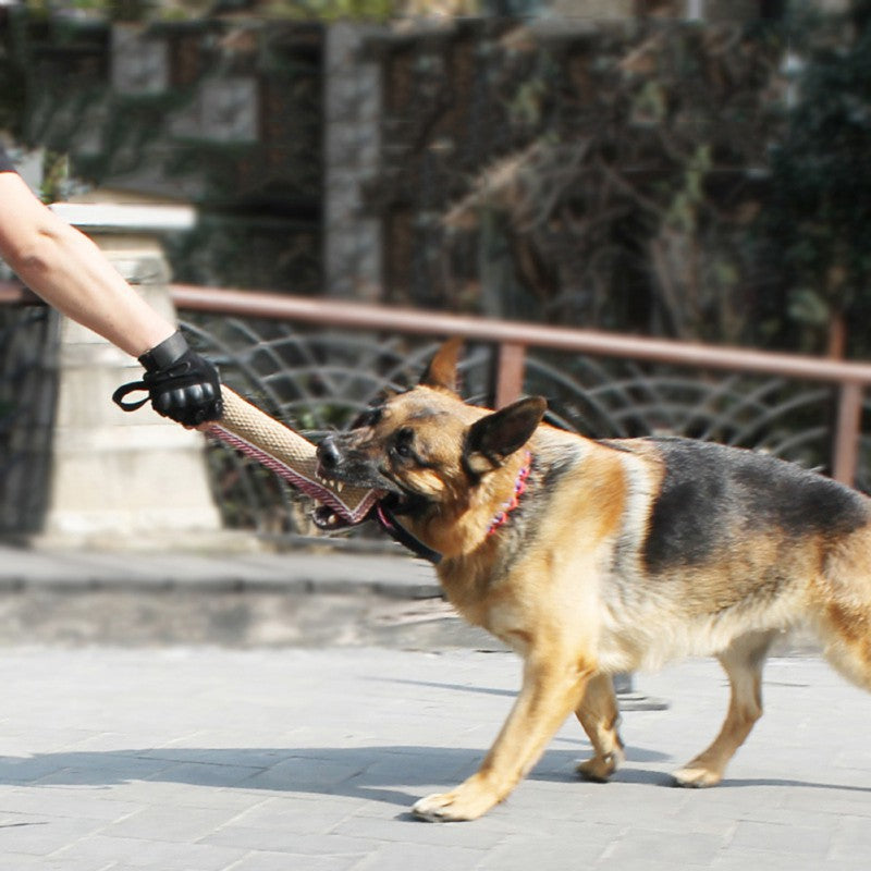 Biting Dog Training Professional Working Dog