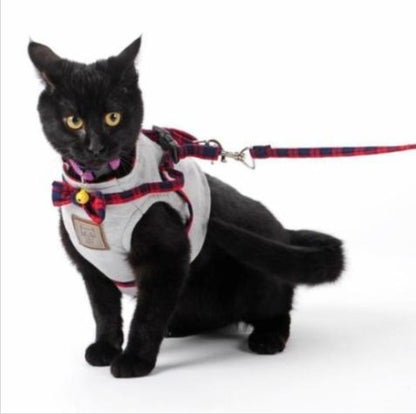 Kitty Cat Harness Offer