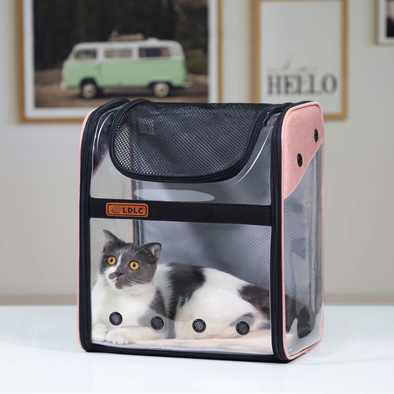 PVC Breathable Large Capacity Cat Carrying Space Capsule Cat Bag Portable Pet Dog Backpack Fold