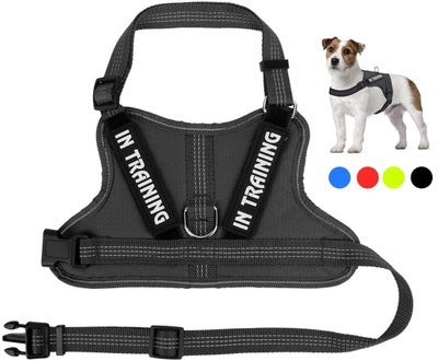 Personalize Per harness