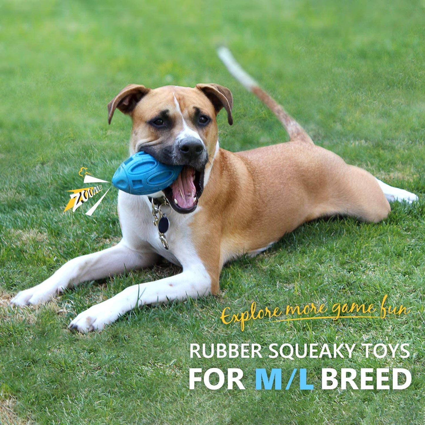 Pet Supplies Dog Toys Rubber Sounding Rugby Wear-Resistant Bite-Resistant Sounding Dog Ball