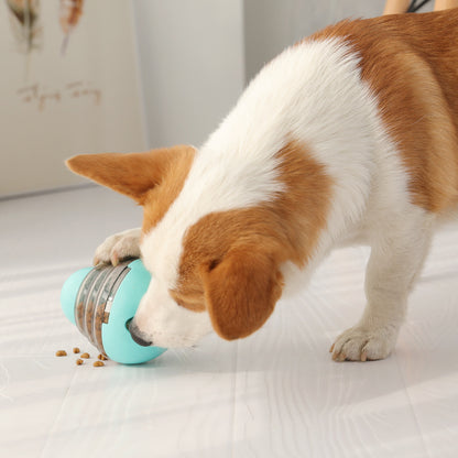 New Pet Leaking Ball Tumbler Training Dog Toy