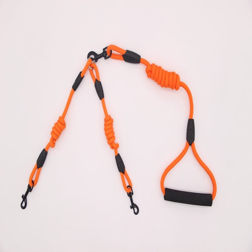 Double traction rope dog walking training