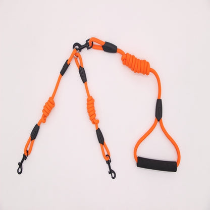 Double traction rope dog walking training