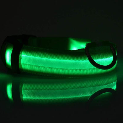 Nylon LED Pet Dog Luminous Collar Night Safety Flashing Glow in Dark