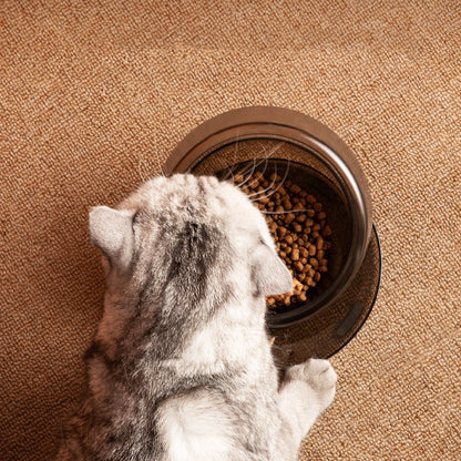 Protect The Cervical Spine From Overturning Pet Food