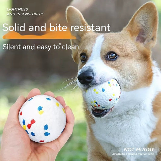 Pet Ball High Rebound Bite-resistant Dog Toy