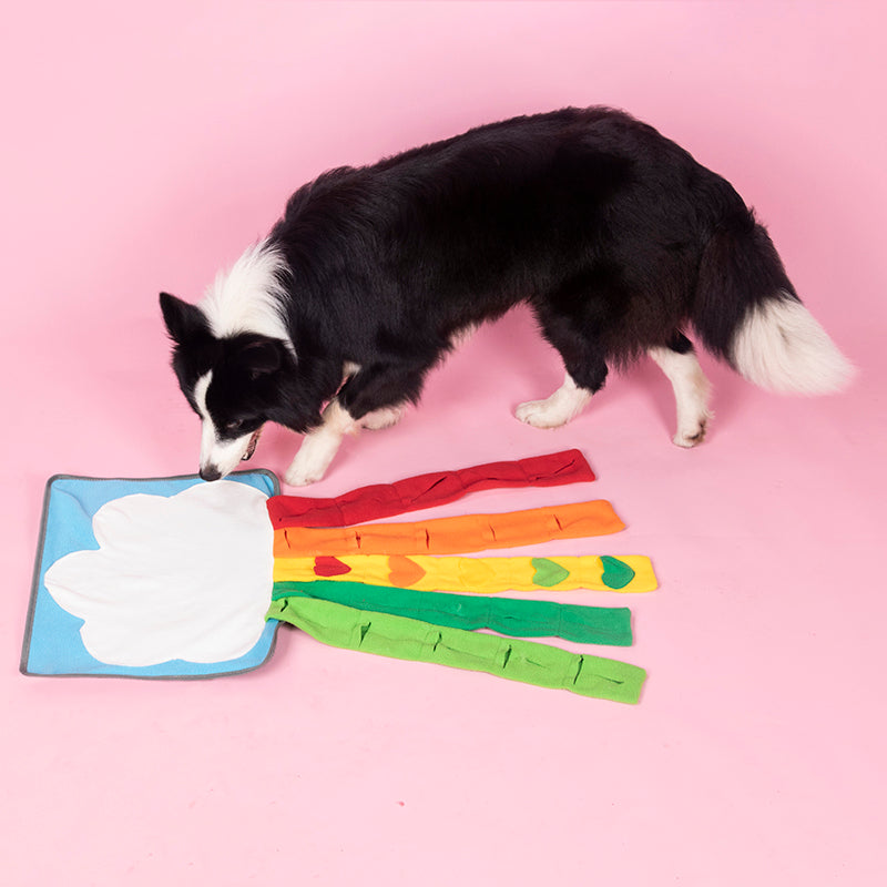 Pet Rainbow Enrichment Mat Dog Play Snuffle Mat