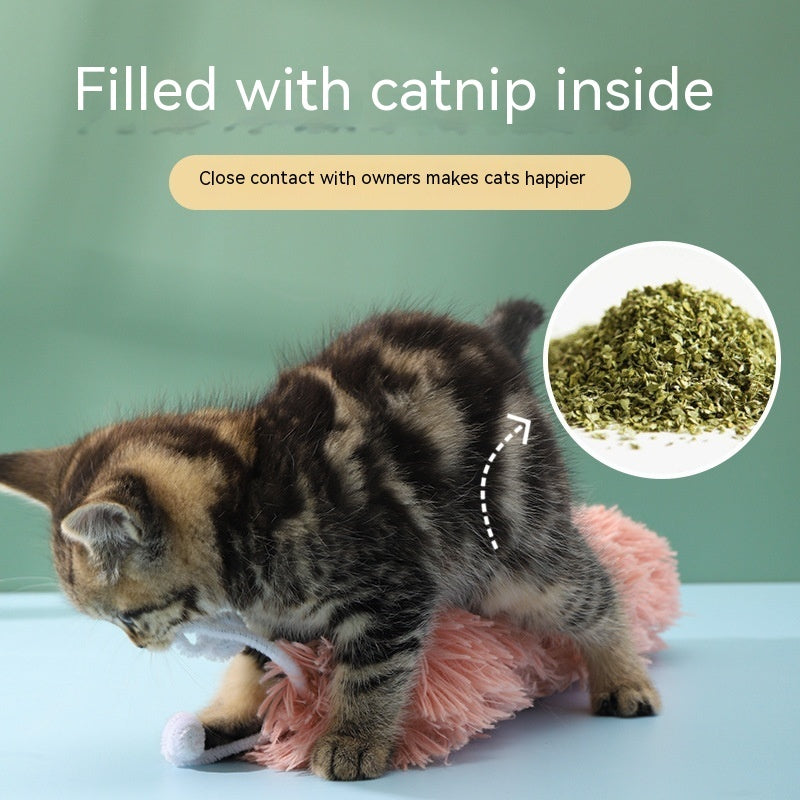 7ef5506282d1d81e12546494e65c32b2