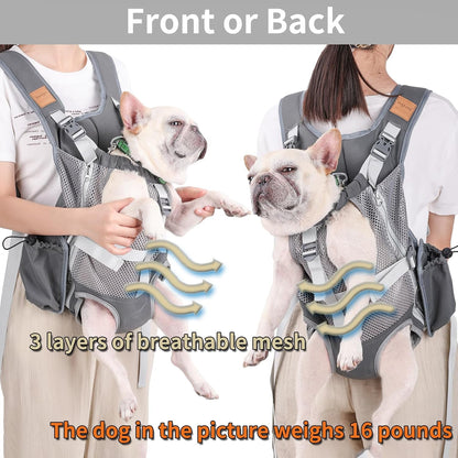 Portable Breathable Cat Pet Carrier Backpack For Outdoor