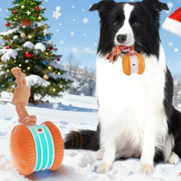 Pet Ball For Dogs Interactive Toys Motion Activate Rolling Ball