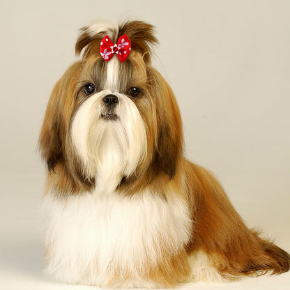 Pet Supplies Bow Rubber Band Scrunchie Head Flower Dog Cat Accessories