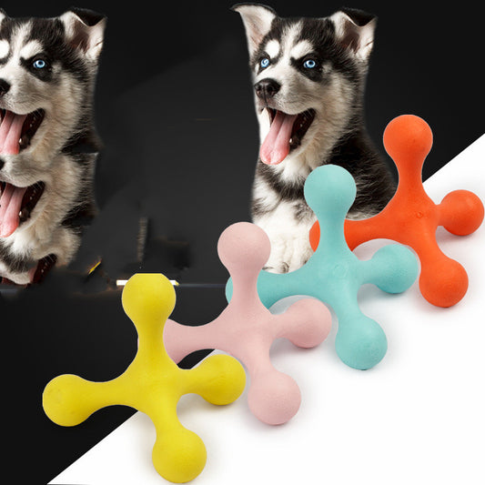 Molar dog toy pet supplies