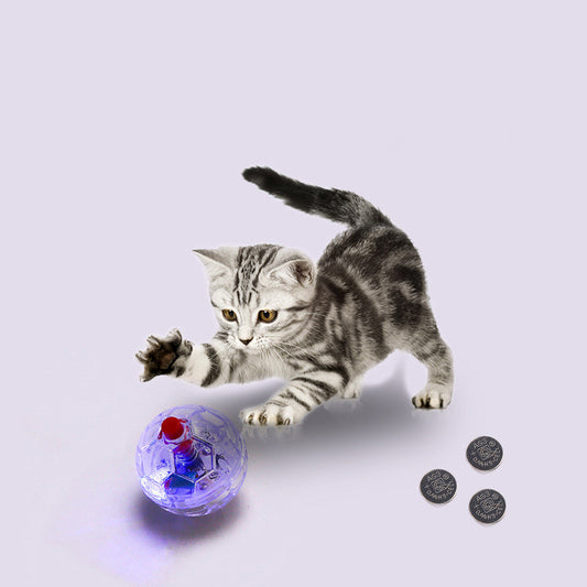 Cat Dog Toy Ball New Fashion Glowing Transparent Plastic Ball