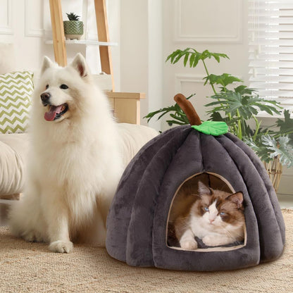 New Pumpkin Cat Bed Cat Beds For Indoor Cats Cute Pumpkin